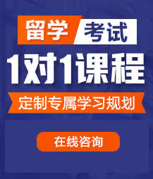 女人用阴道找男人用鸡巴操高清黑丝网站留学考试一对一精品课